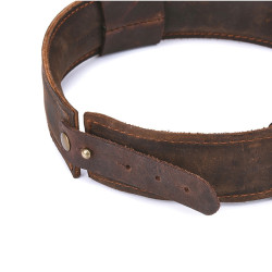 LuxuryFantasy Collier et Laisse SHACK